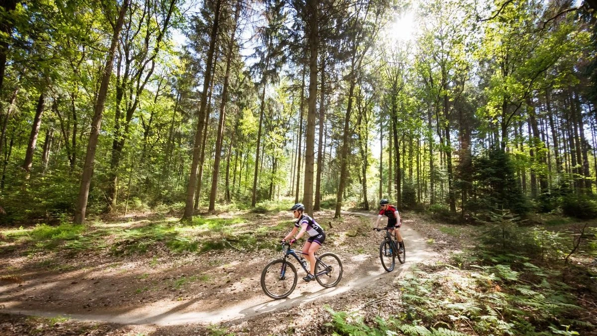 3-daags sportief mountainbike arrangement