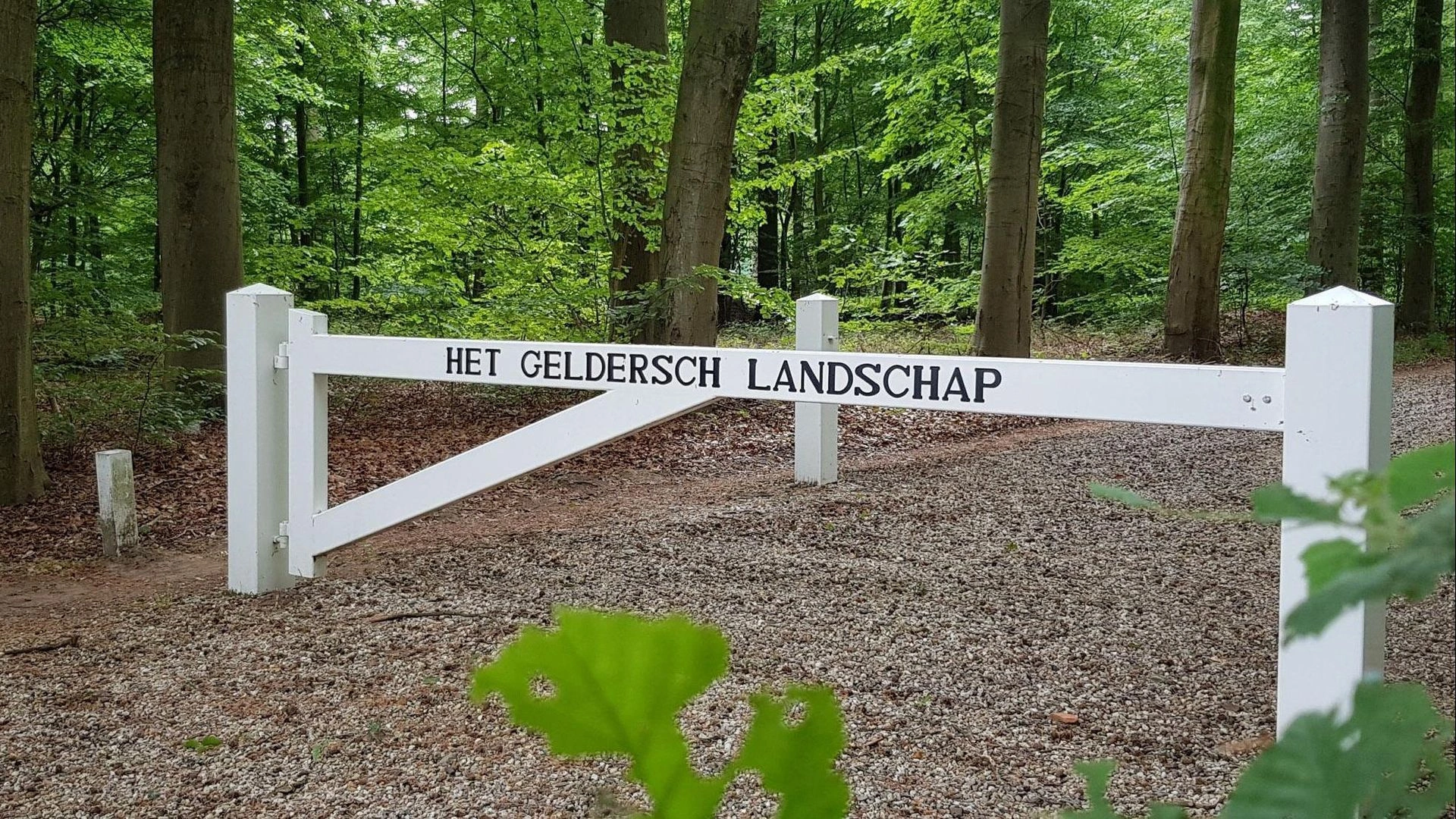 Kastelen en landgoederen