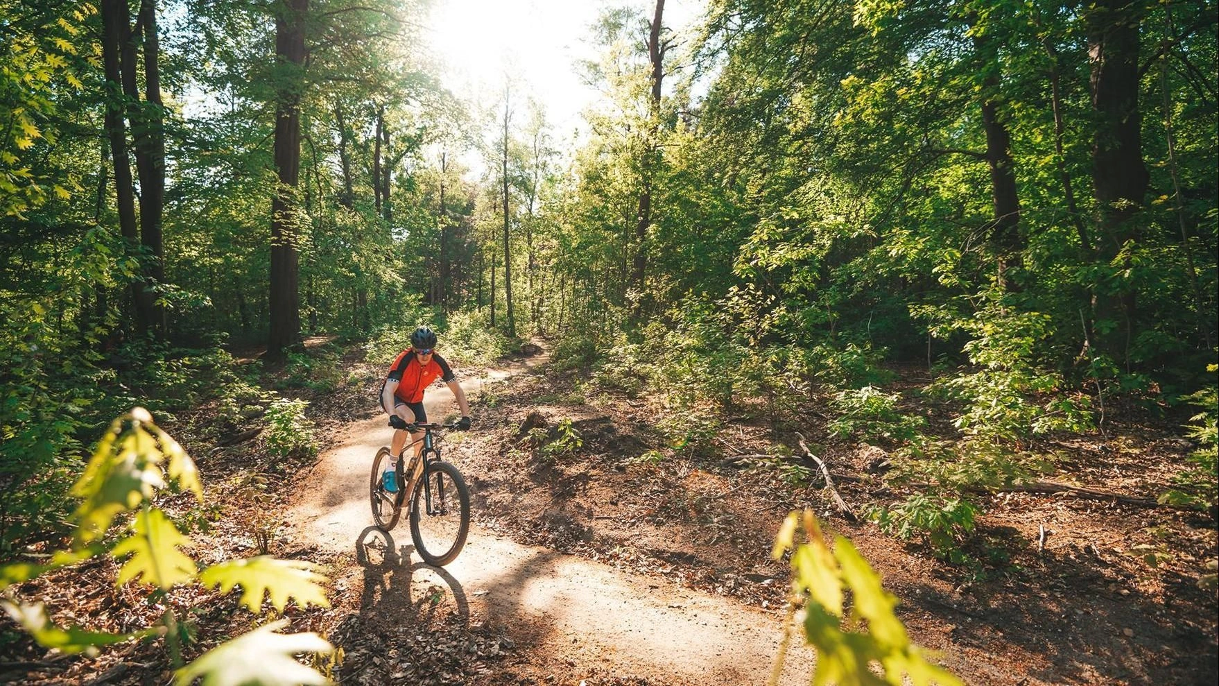3-daags fietsen van Havezathe Carpediem naar Landgoedhotel Woodbrooke Barchem